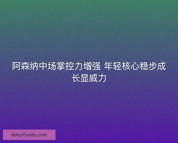 阿森纳中场掌控力增强 年轻核心稳步成长显威力